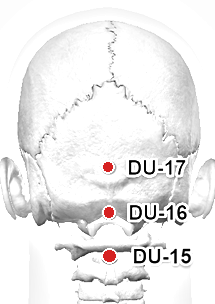 Location of DU-15 (Yamen)