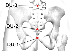 Location of DU-2 (Yaoshu)