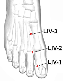 Location of LIV-2 (Xingjian)