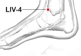 Location of LIV-4 (Zhongfeng)