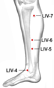 Location of LIV-5 (Ligou)