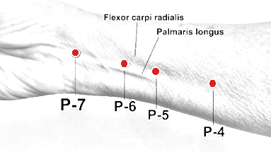 Location of P-6 (Neiguan)