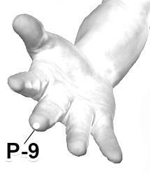 Location of P-9 (Zhongchong)