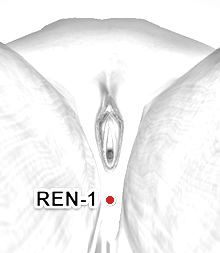 Location of REN-1 (Huiyin)