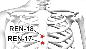 Location of REN-17 (Shanzhong (or Tanzhong))