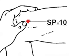 Location of SP-10 (Xuehai)