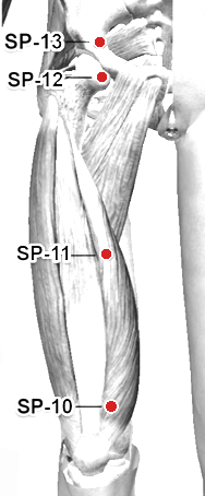 Location of SP-12 (Chongmen)