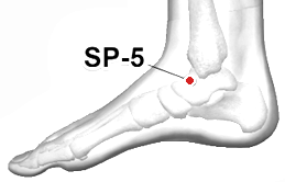 Location of SP-5 (Shangqiu)
