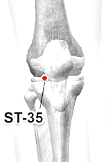 Location of ST-35 (Dubi)