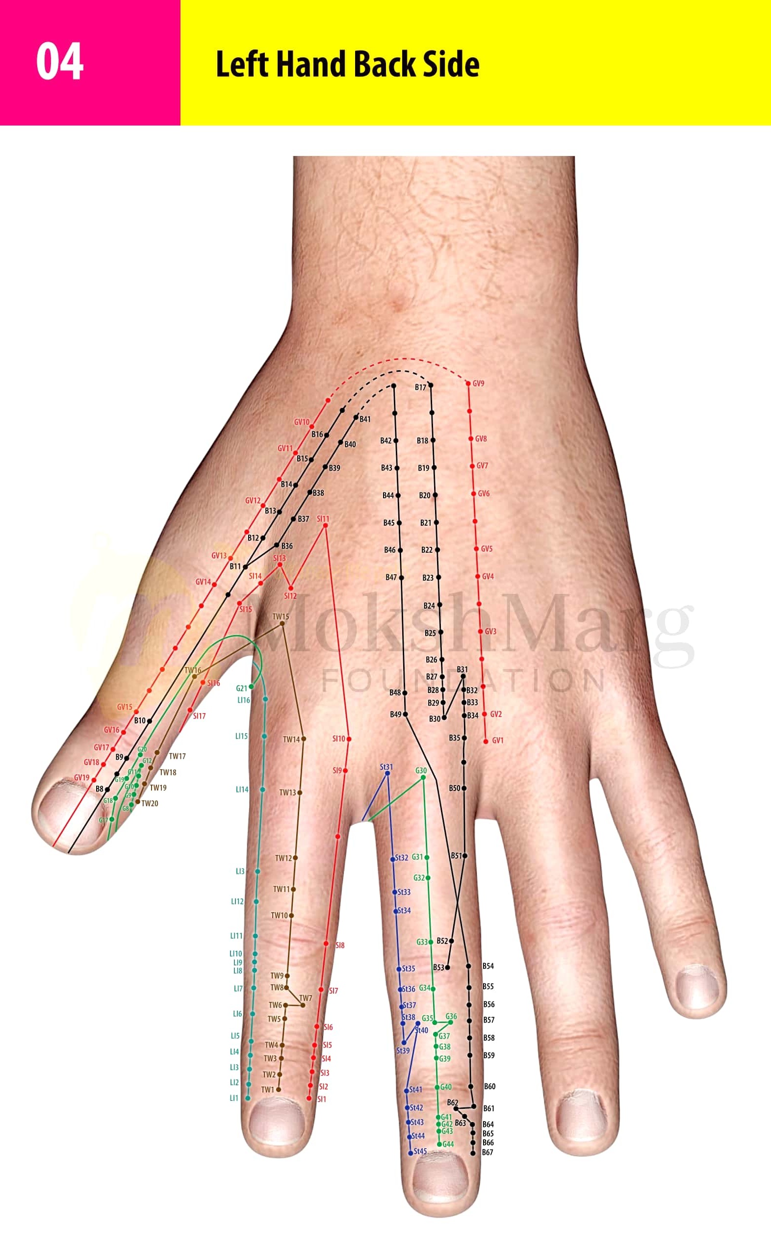 Left Hand Back Side - Su Jok correspondence chart