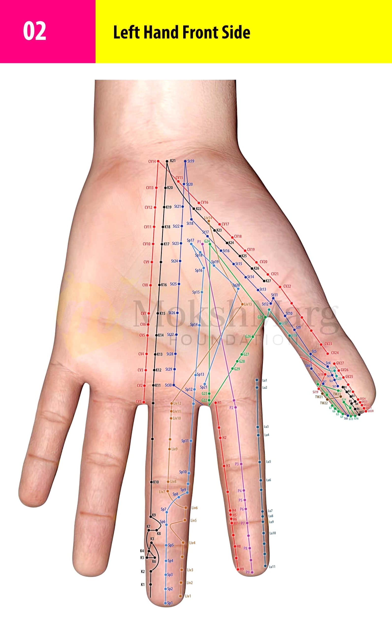 Left Hand Front Side - Su Jok correspondence chart