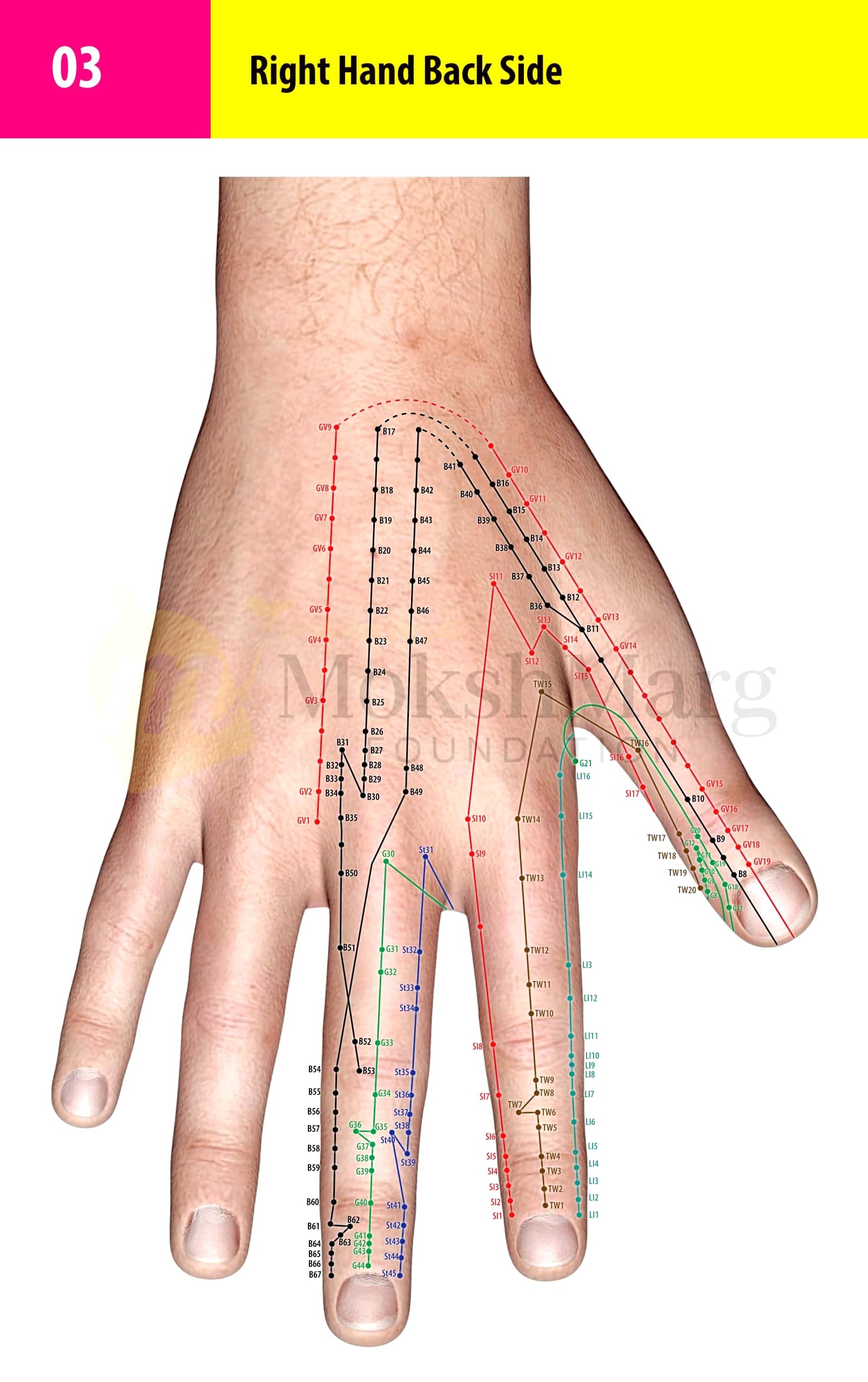 Right Hand Back Side - Su Jok correspondence chart