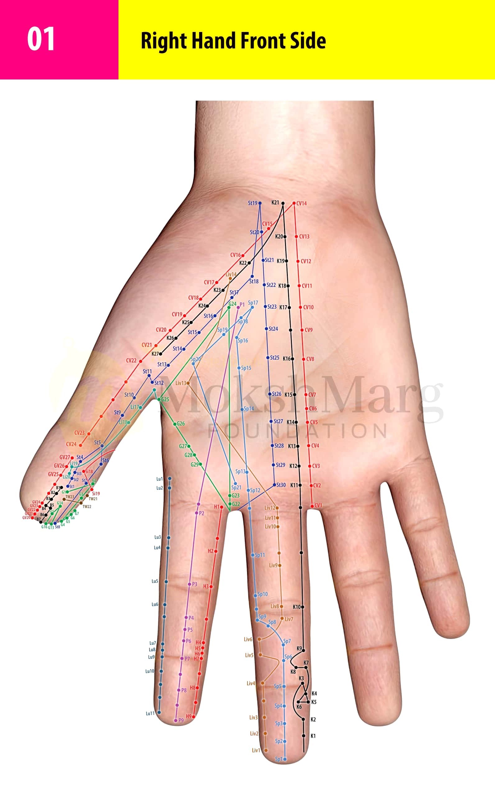 Right Hand Front Side - Su Jok correspondence chart