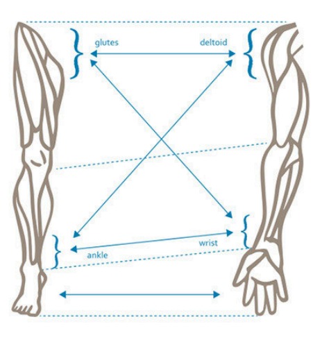 Cross correspondence combining an arm and a leg