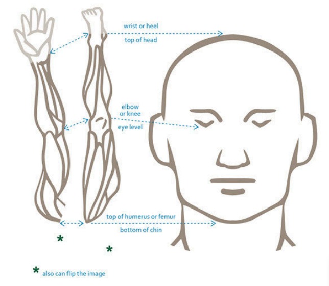 Forearm and lower leg mapped onto the face, alternate layout