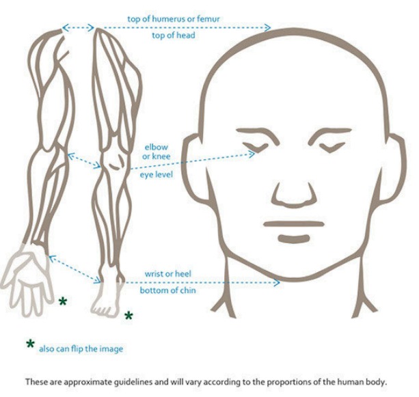 Forearm and lower leg mapped onto the face