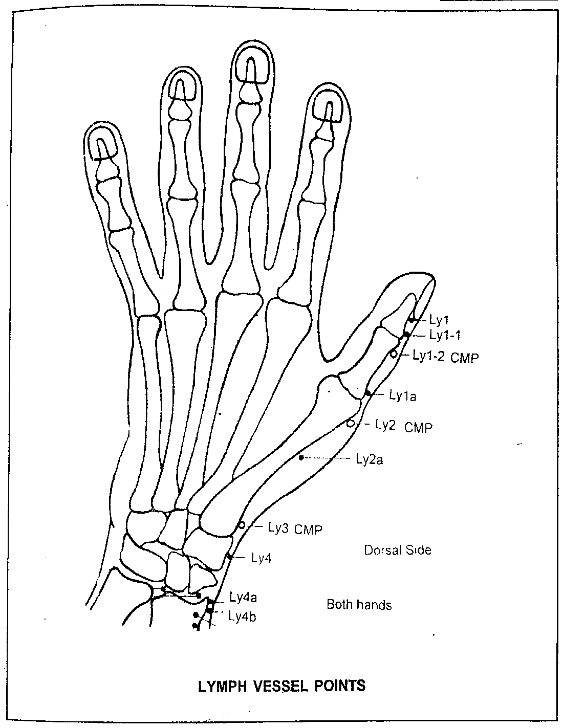 Diagram of the dorsal side of the hand showing Lymph Vessel points Ly1 through Ly4b