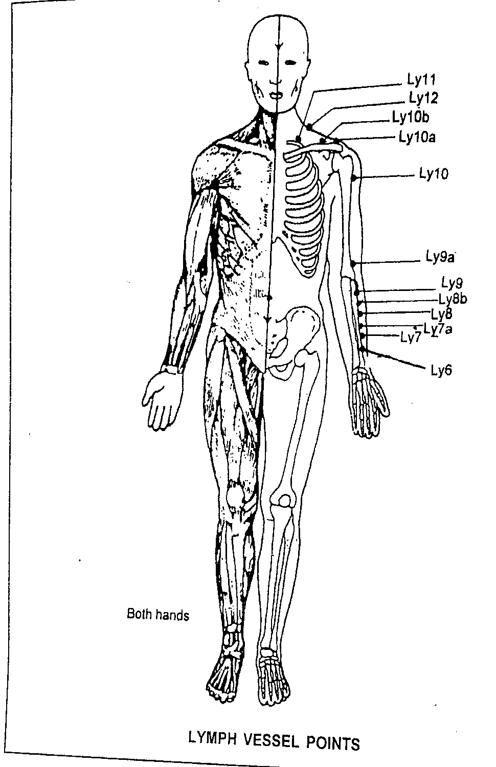 Full-body diagram showing Lymph Vessel points Ly6 through Ly12 on the arm, shoulder and neck