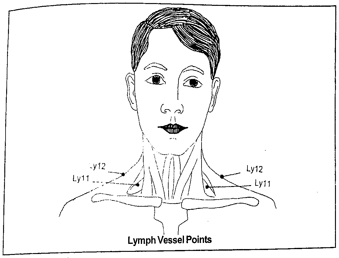 Diagram of a face and neck showing Lymph Vessel points Ly11 and Ly12 at the base of the neck