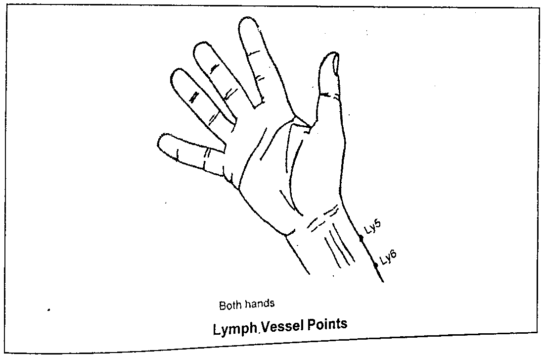 Diagram of the palm side of the hand and forearm showing Lymph Vessel points Ly5 and Ly6